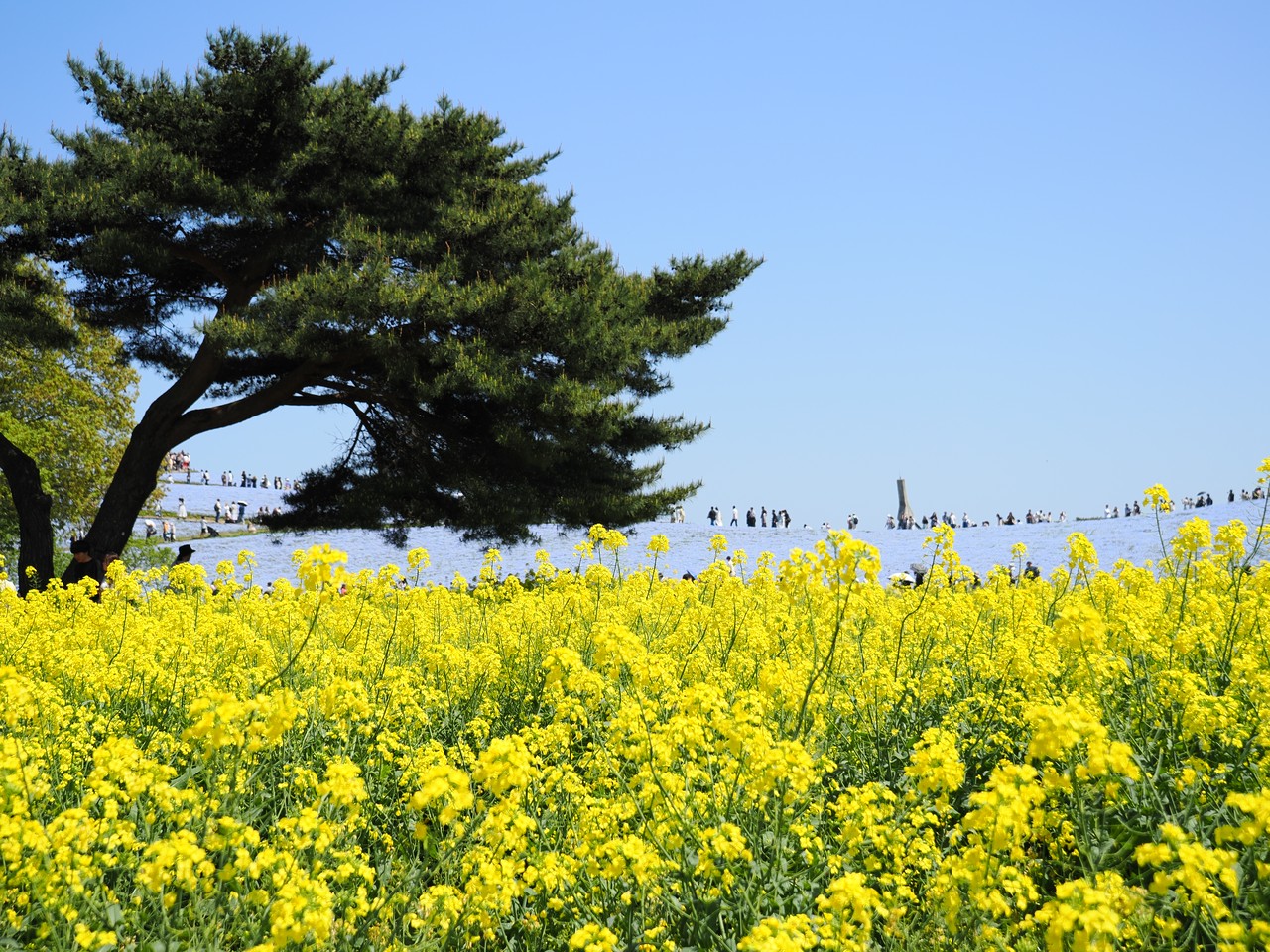 [問卦] 佐賀 埼玉 茨城 哪個好玩？？