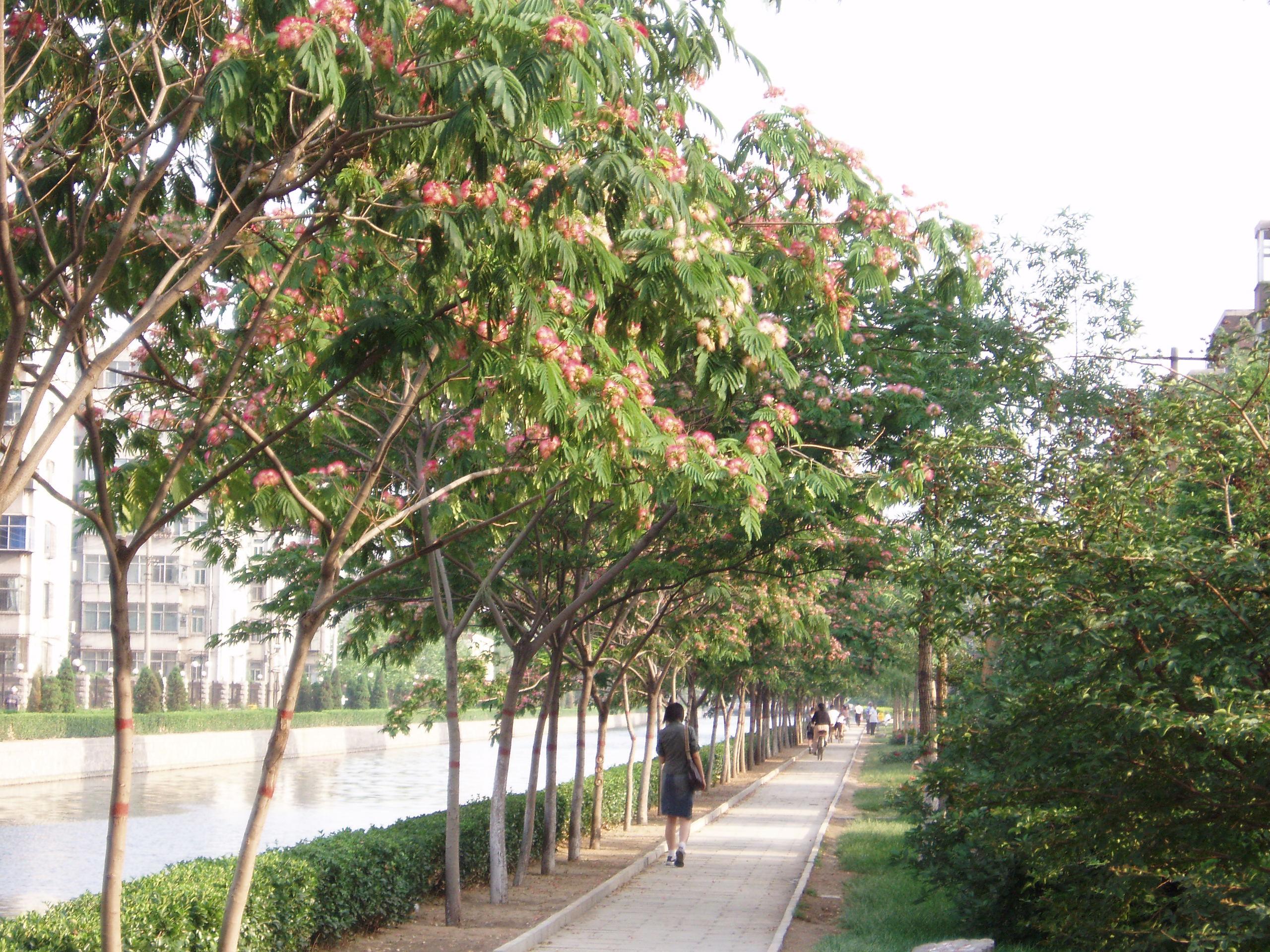 石家莊市