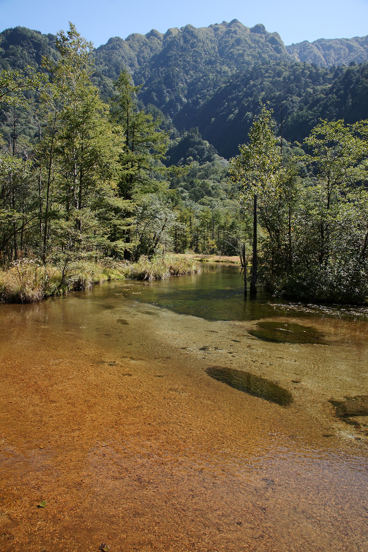 田代池