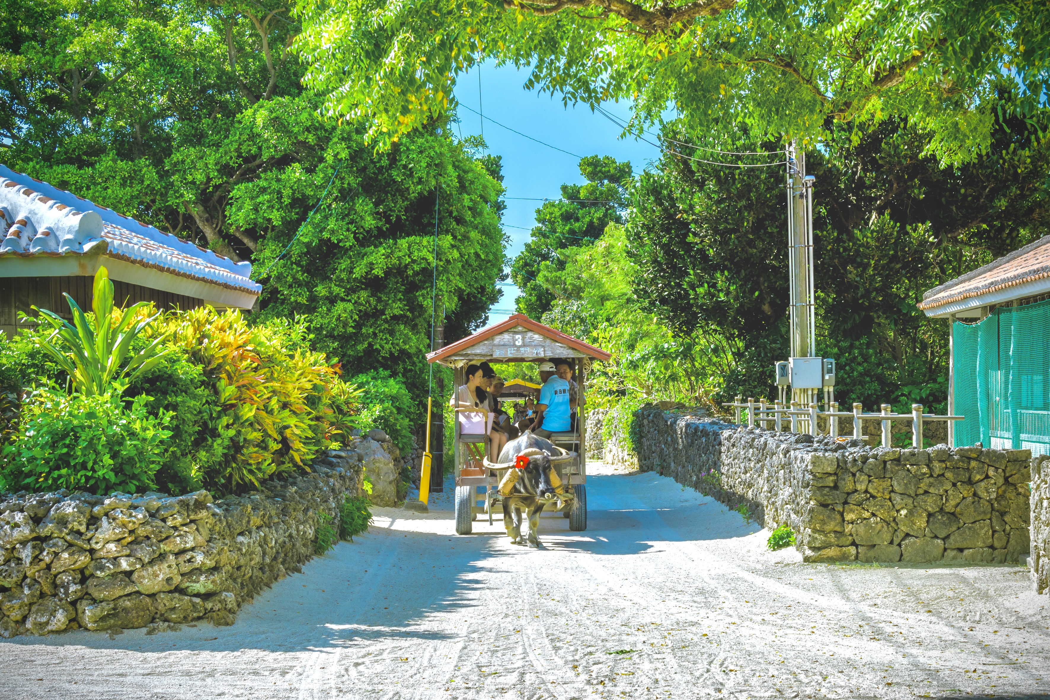 西表島