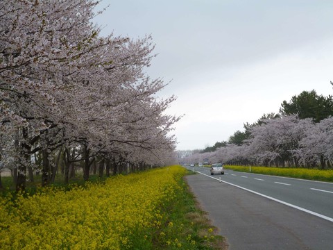 大瀉村