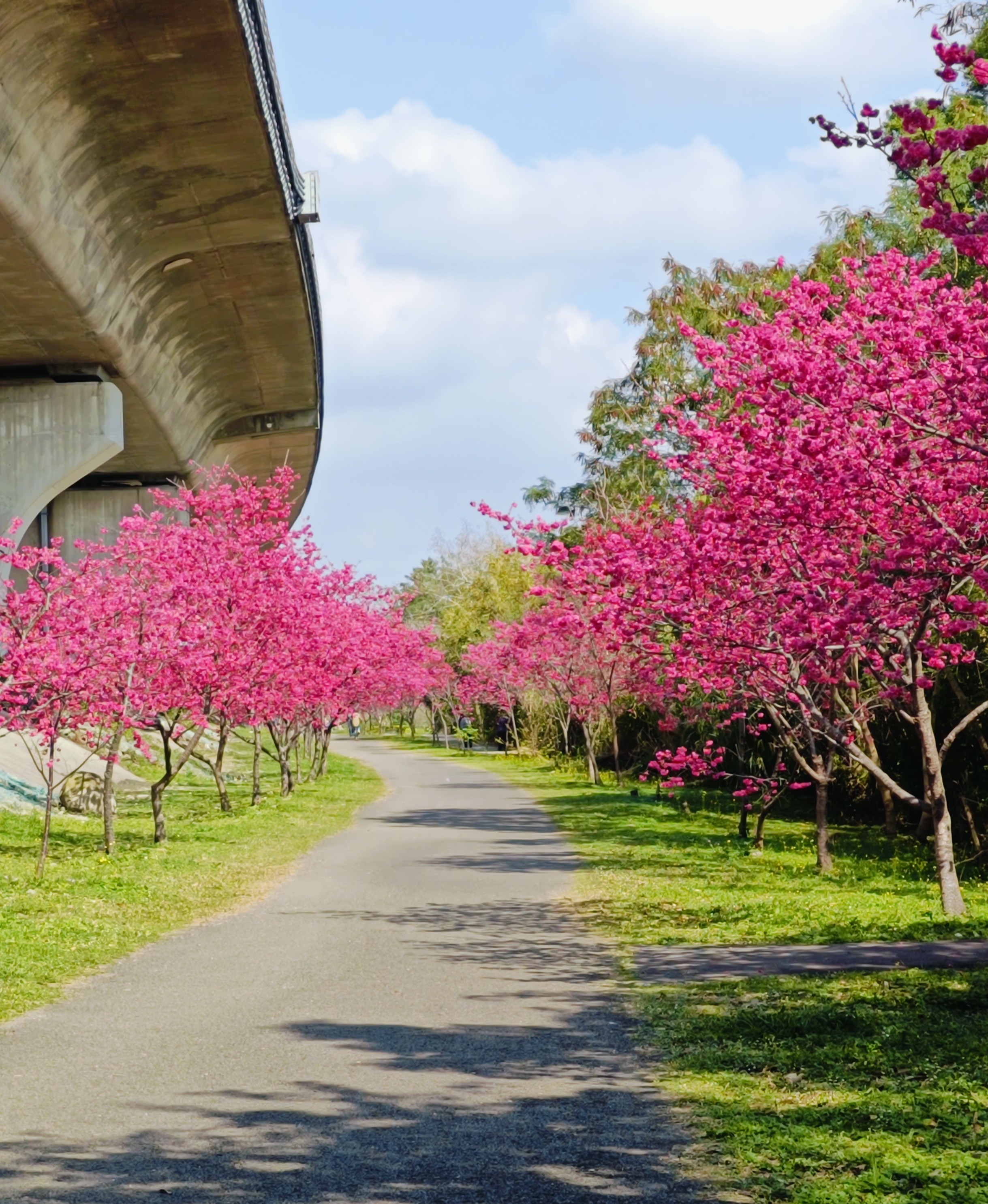 竹東生態河濱公園
