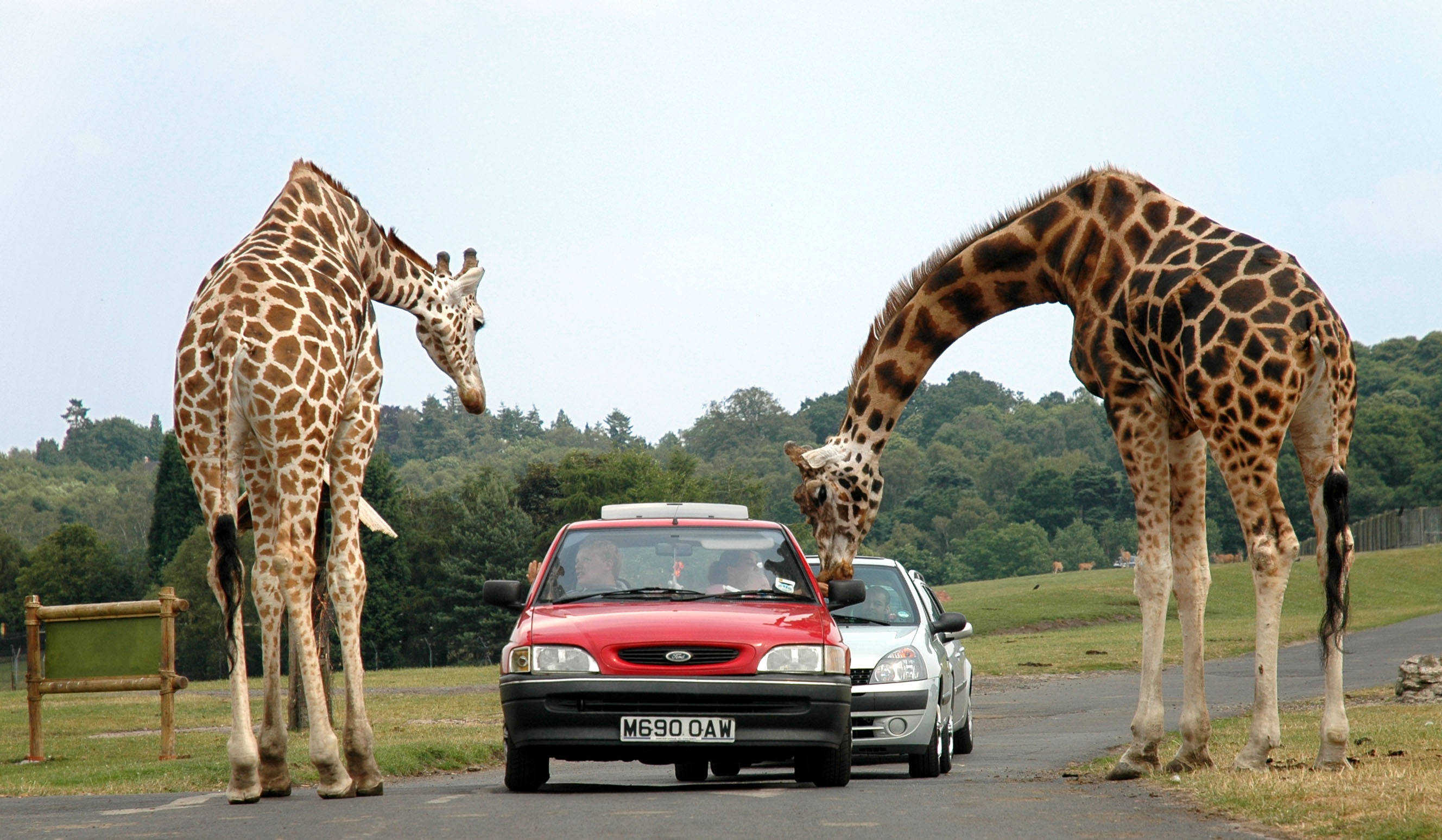 West Midlands Safari Park