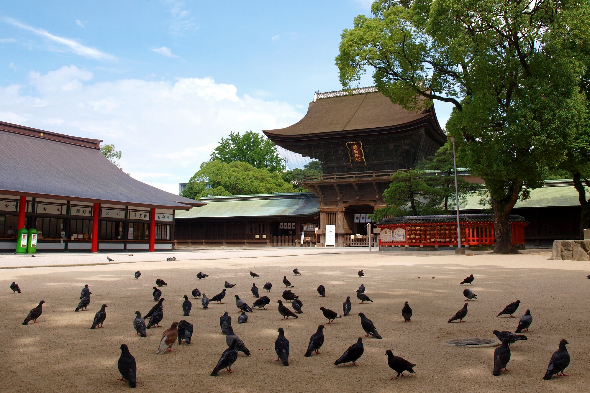 筥崎宮