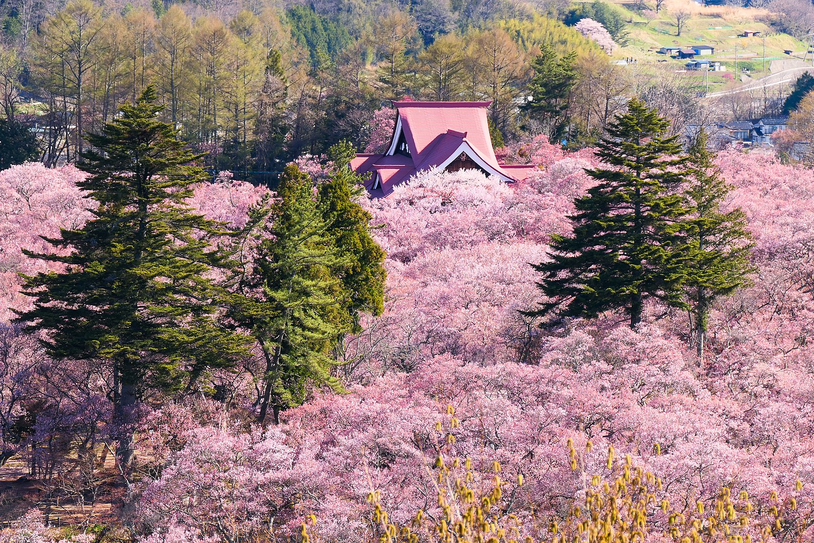 高遠城址公園