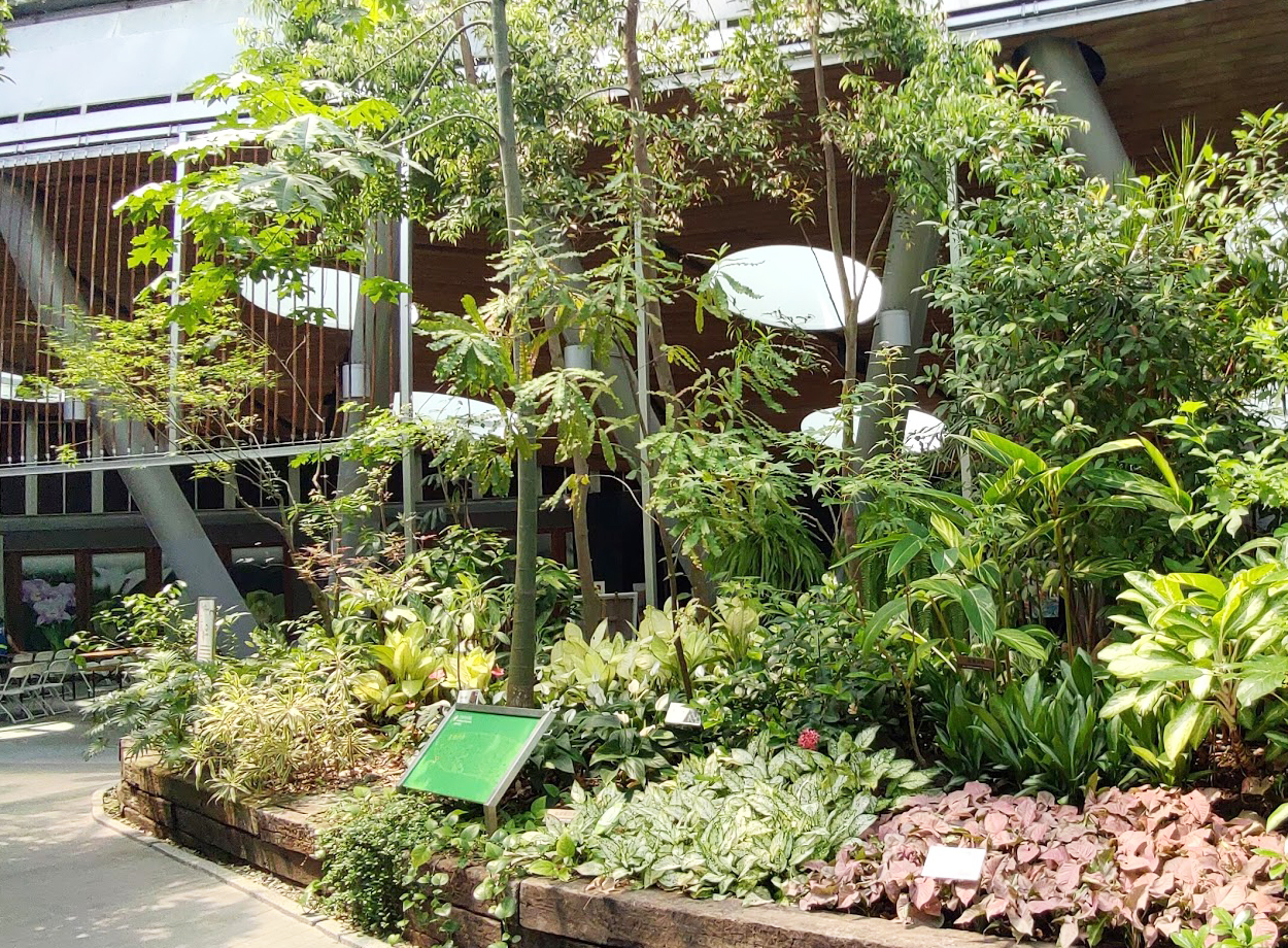 台北典藏植物園