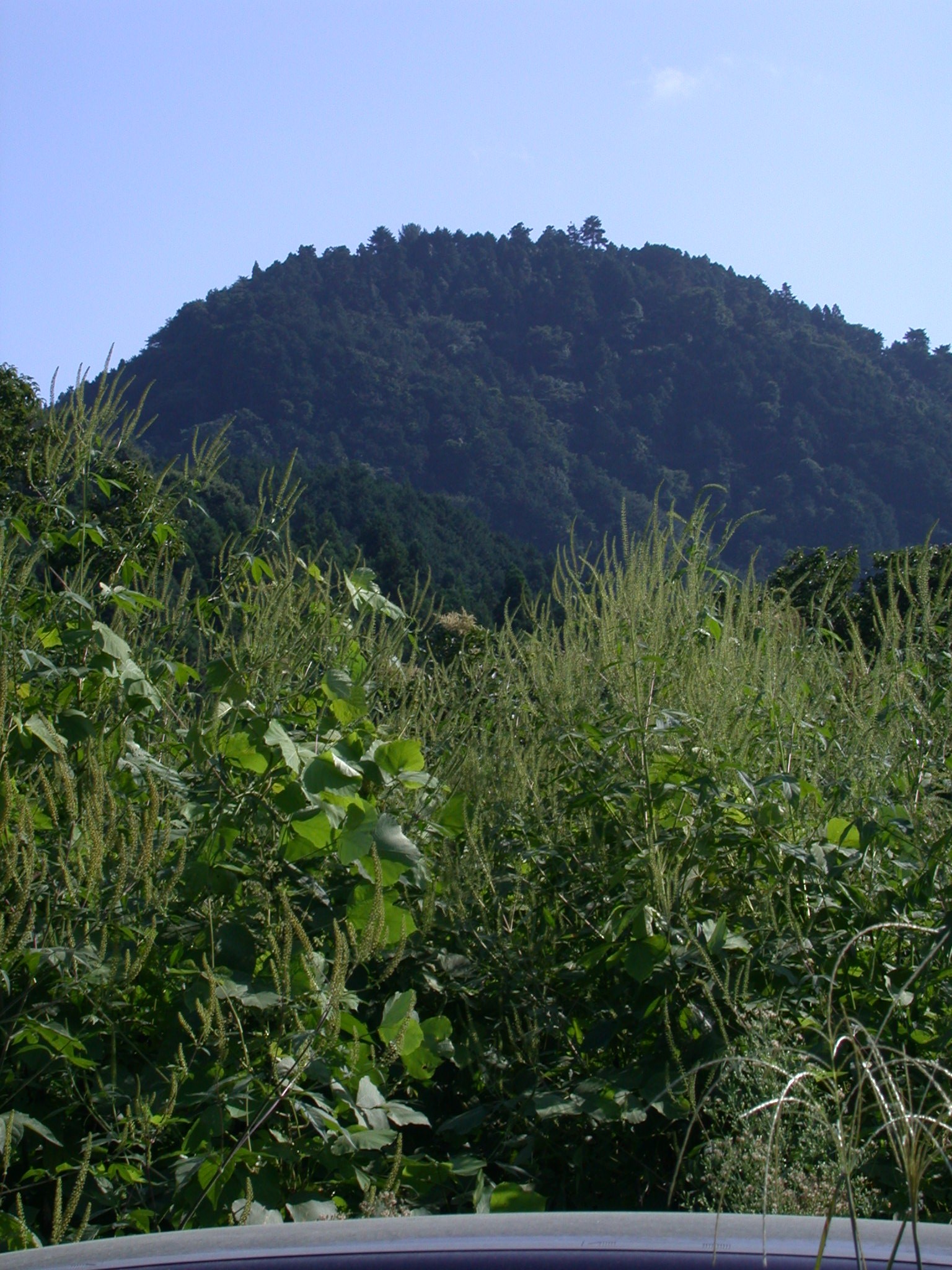 八王子城