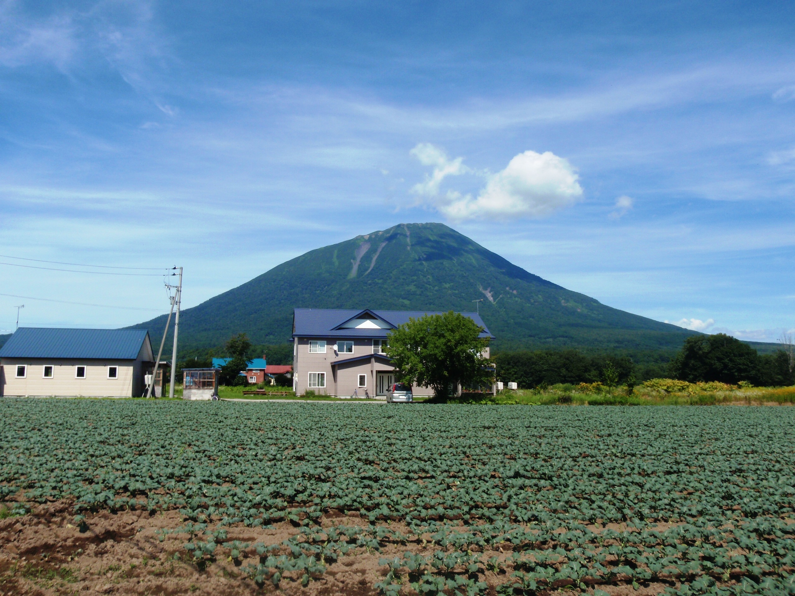 真狩村