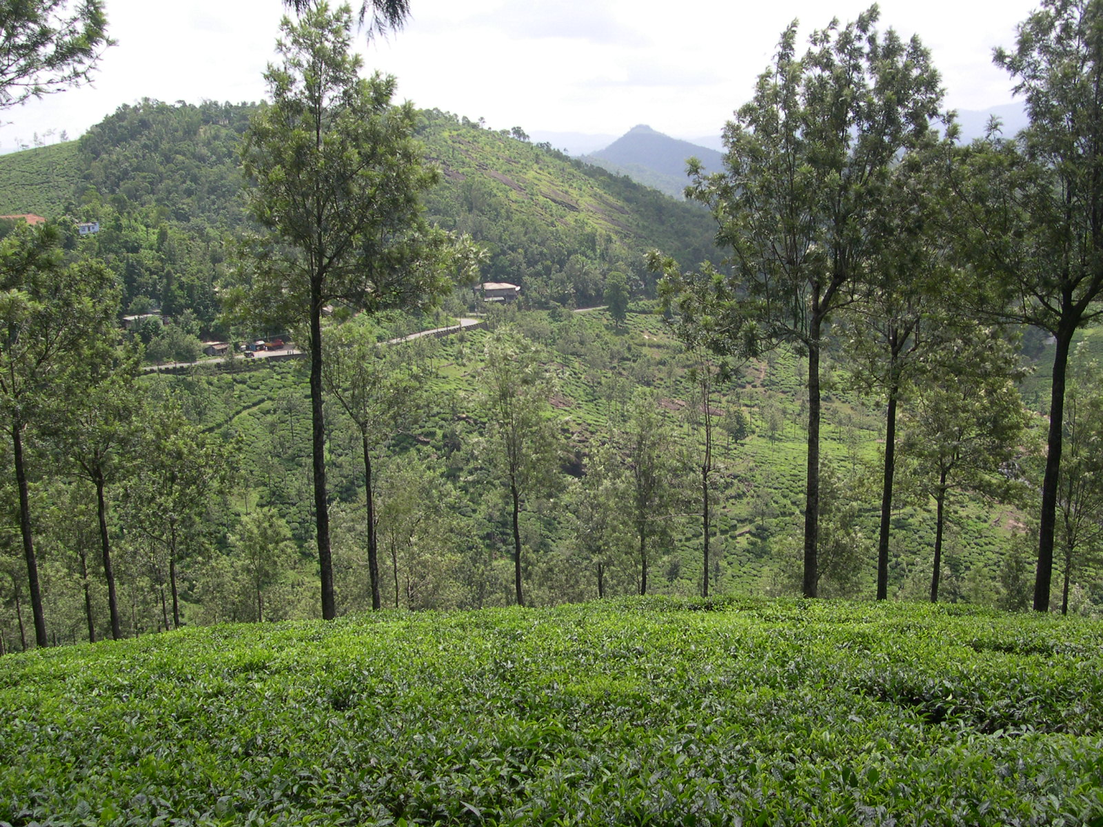 Elappara