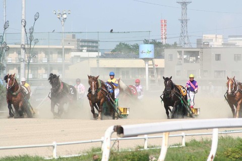 帶廣競馬場