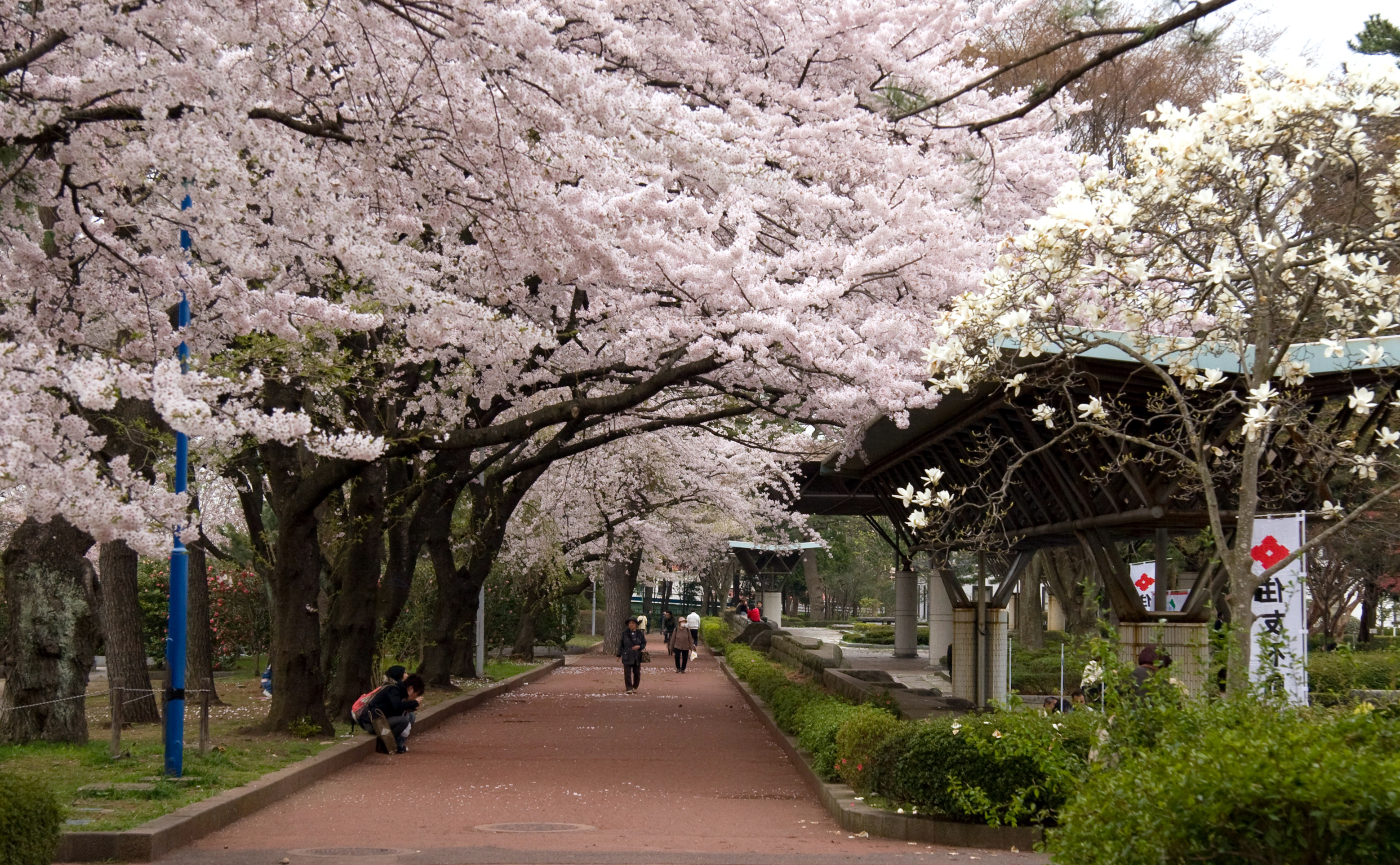 榴岡公園