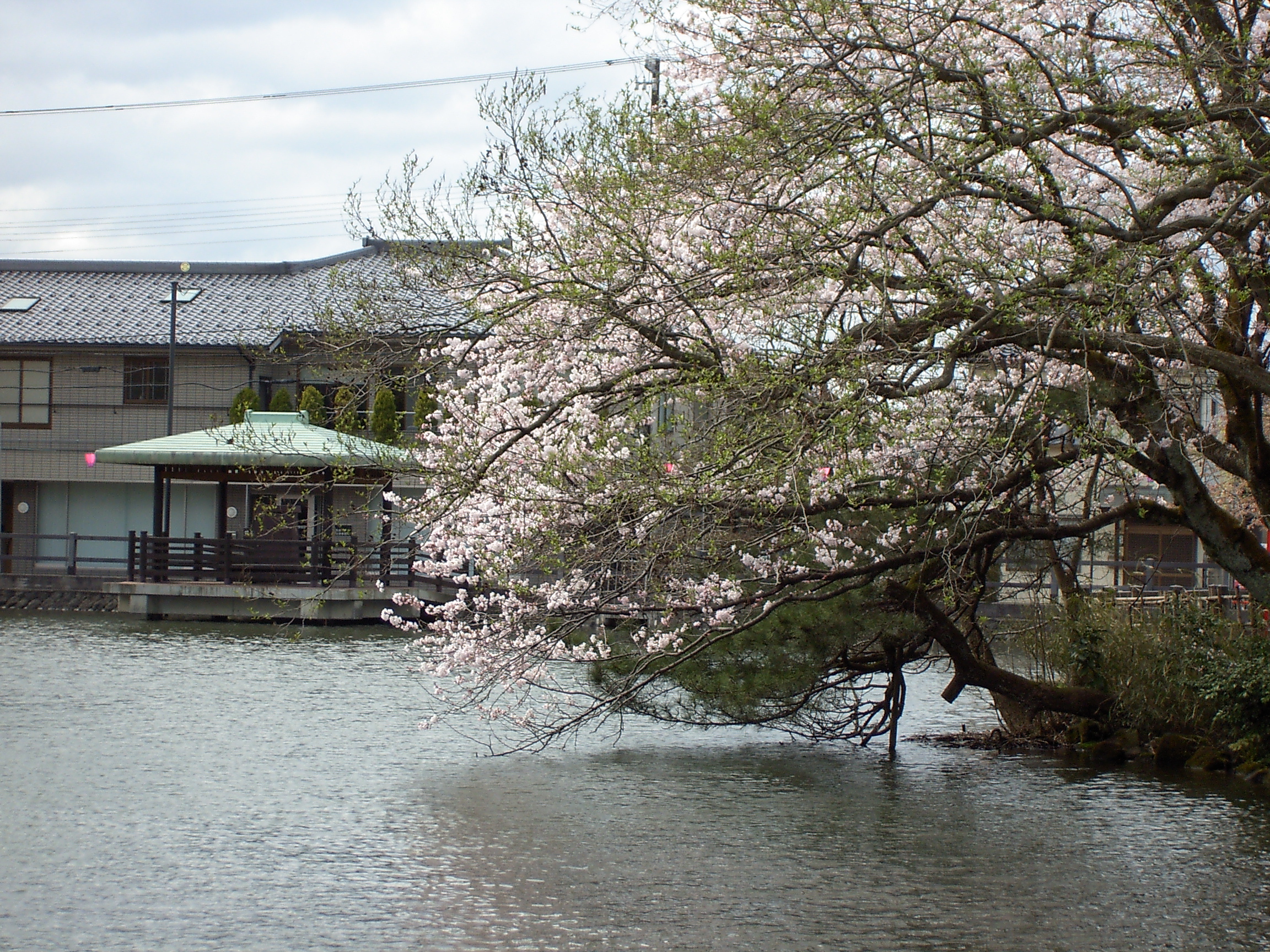 高岡古城公園