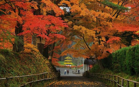 日鹽紅葉道