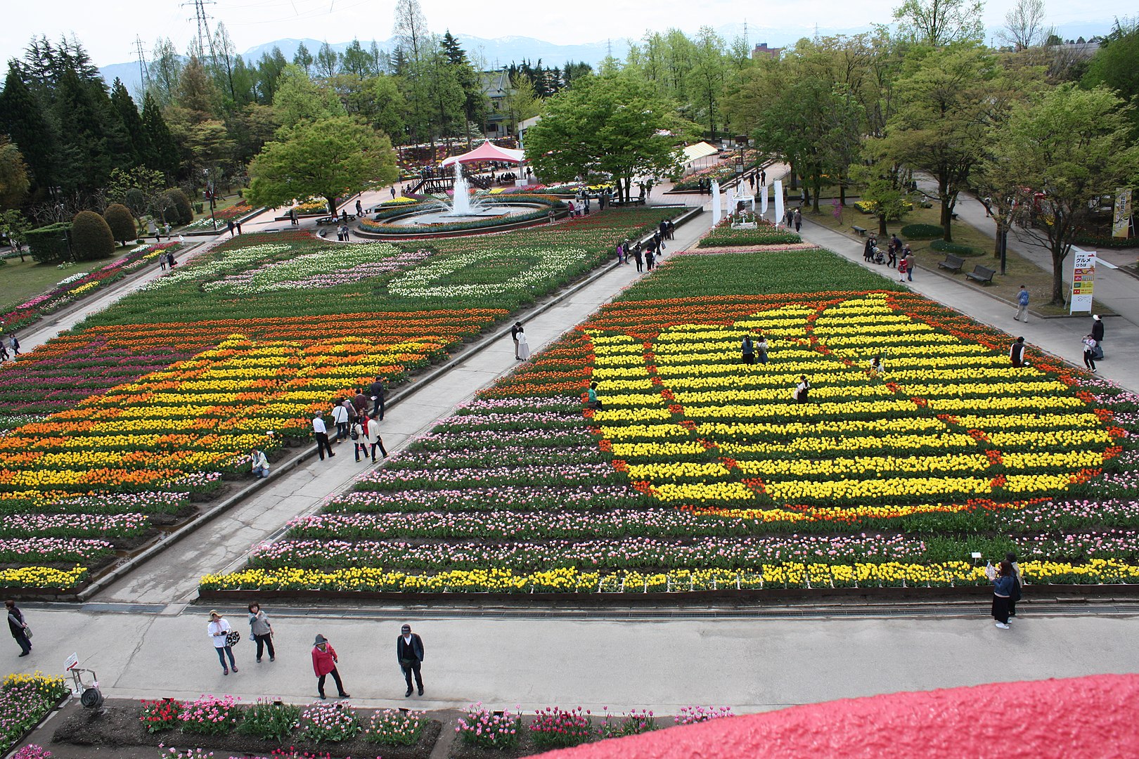 礪波鬱金香公園