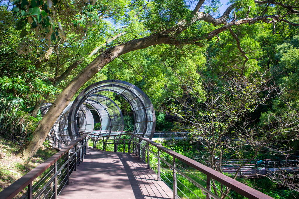 虎頭山公園全齡友善步道
