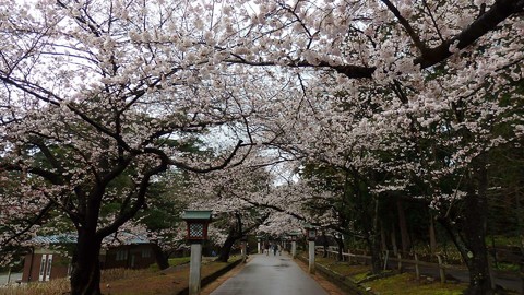 彌彥公園
