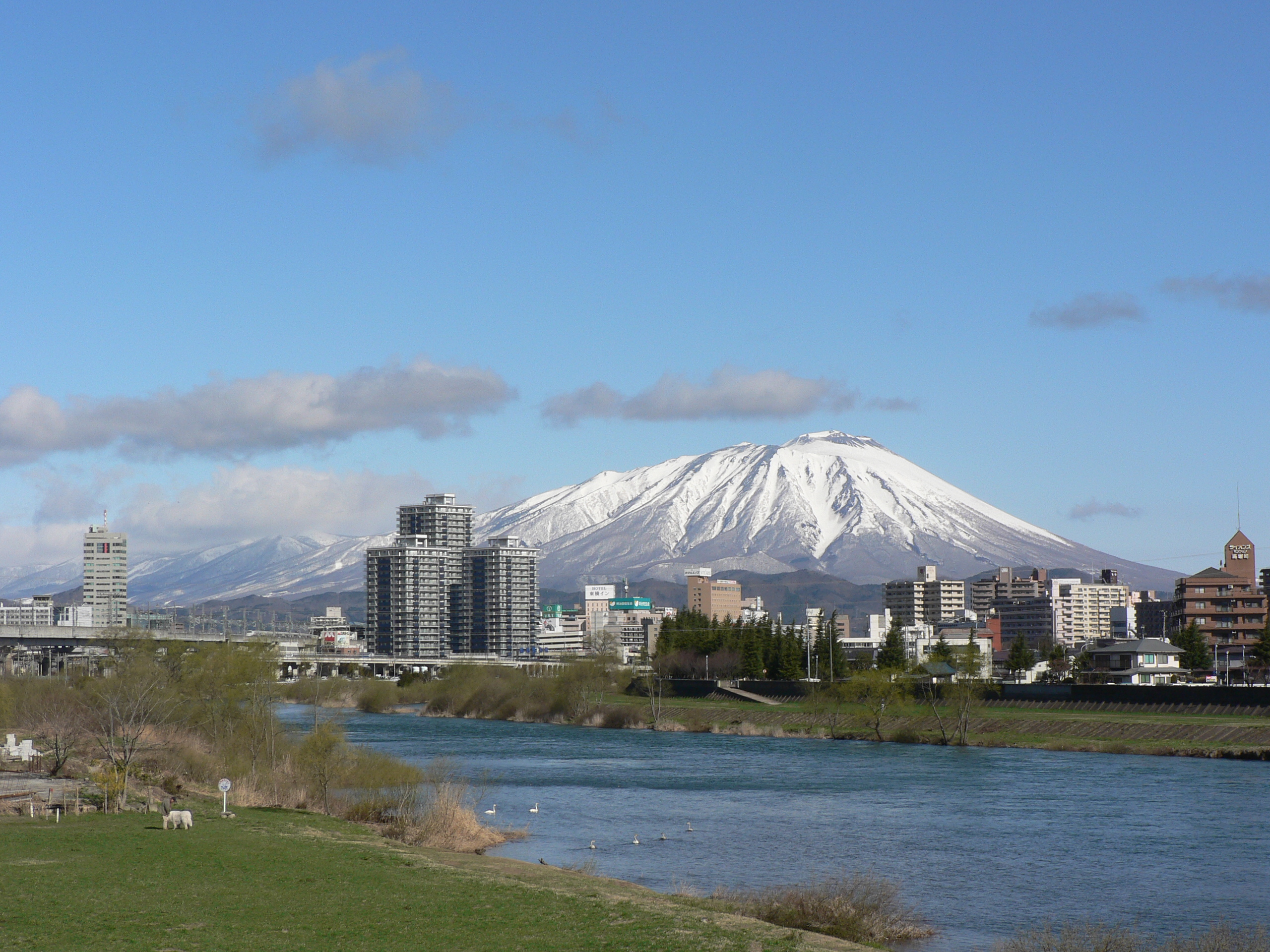 岩手縣