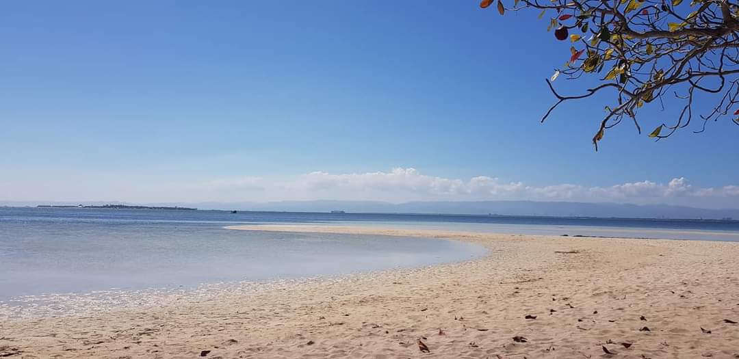 宿霧島