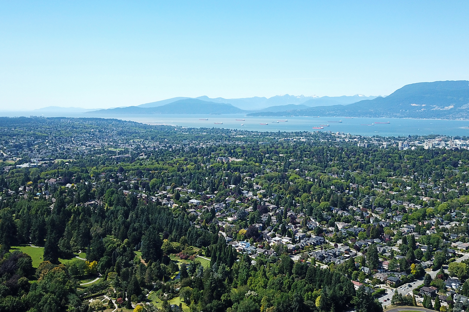Shaughnessy