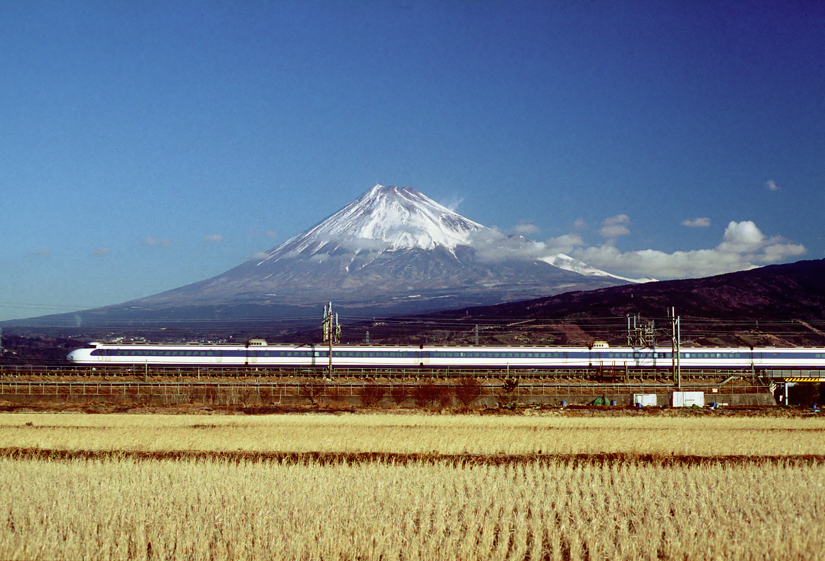 日本