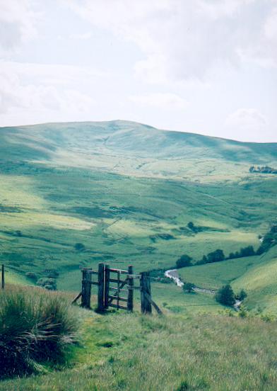 Cheviot Hills