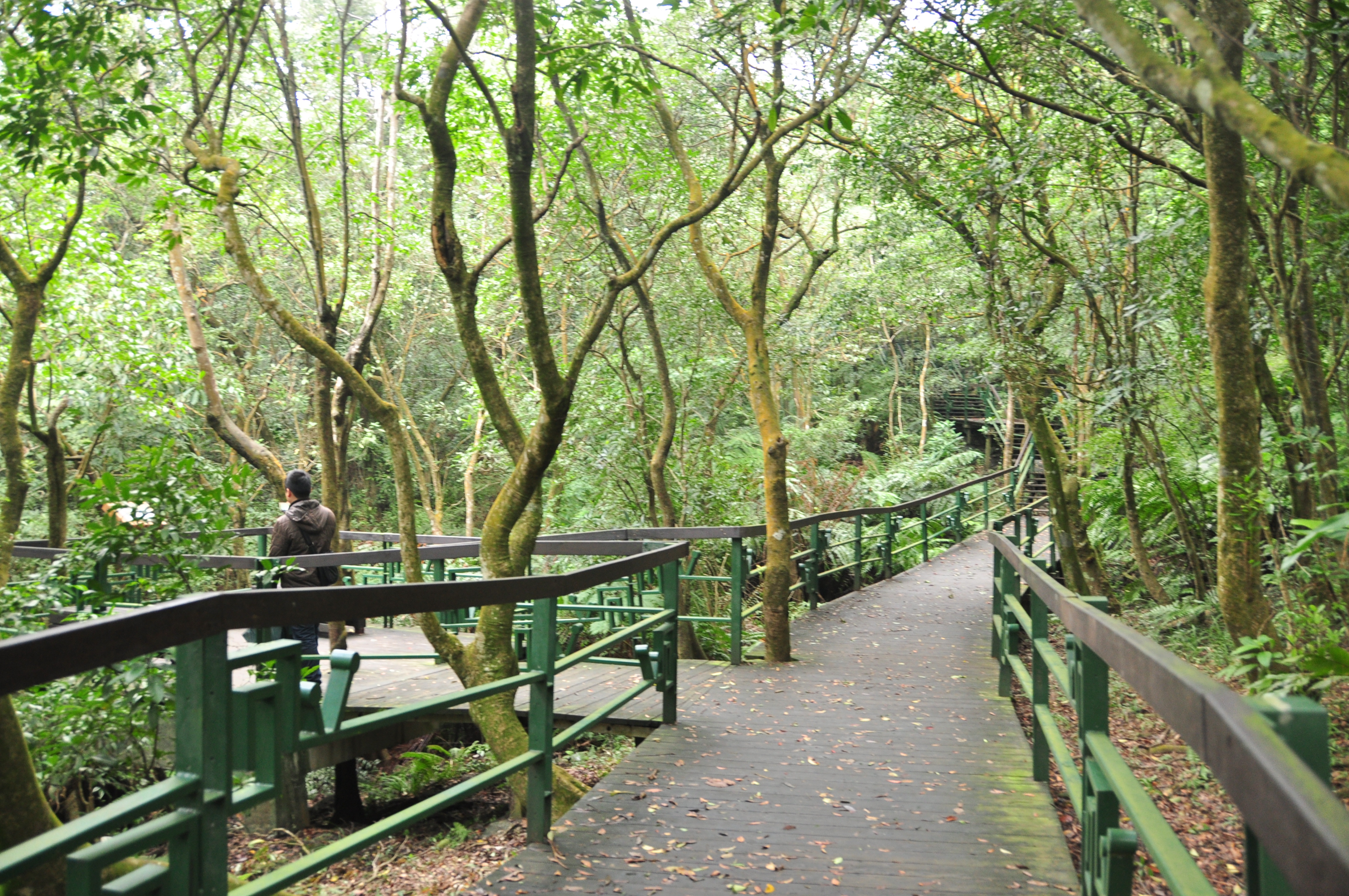 大崙頭尾山親山步道