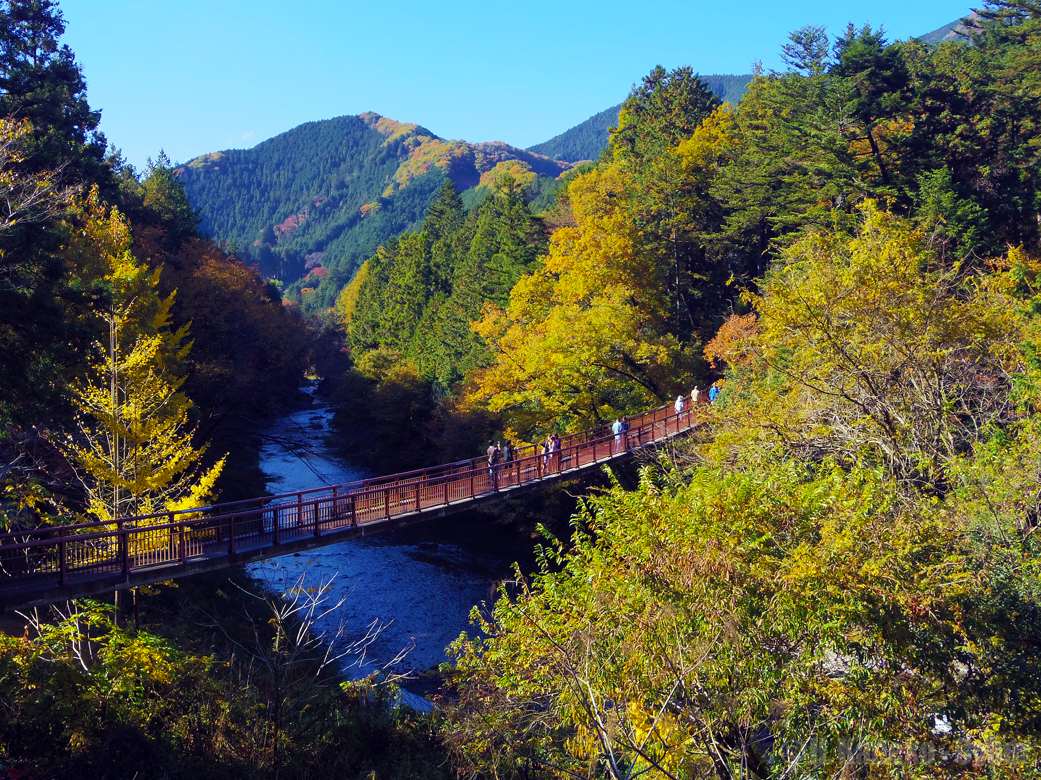 秋留野市