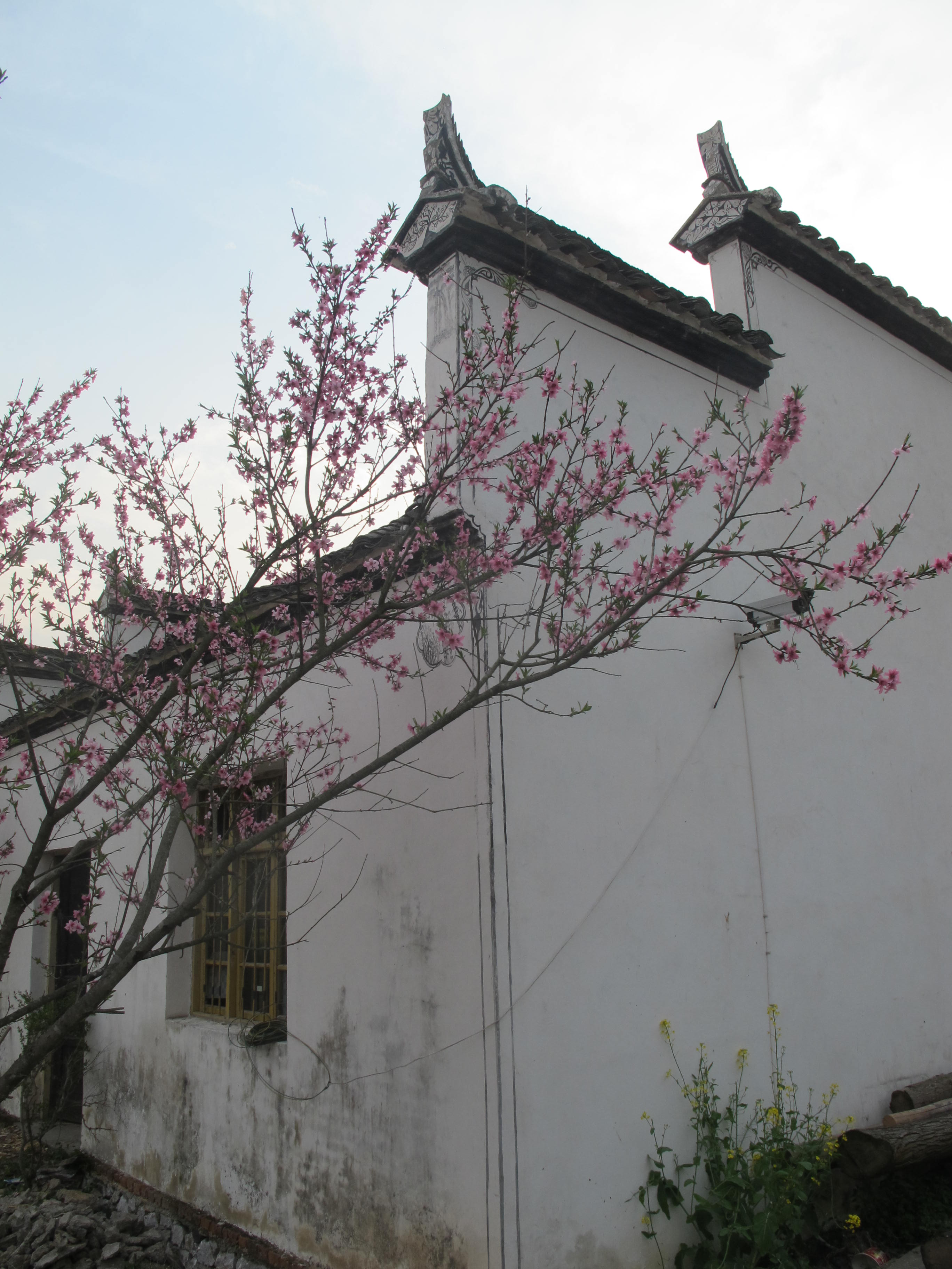 婺源縣