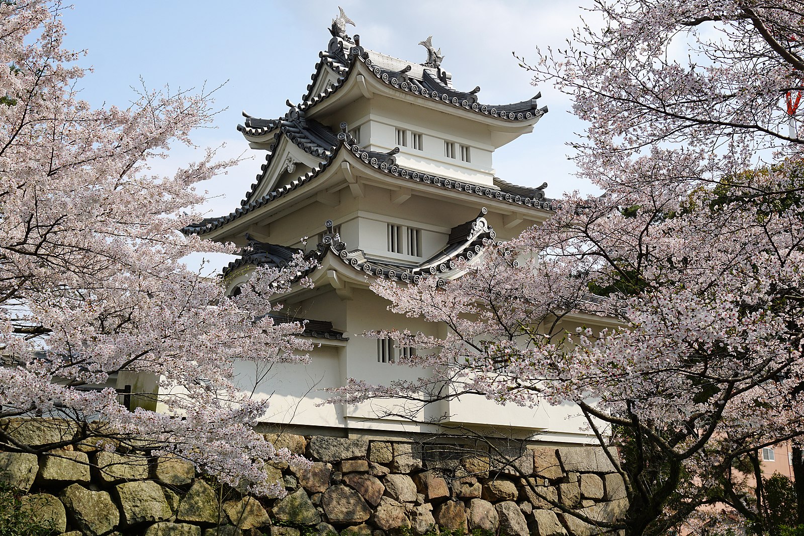津市