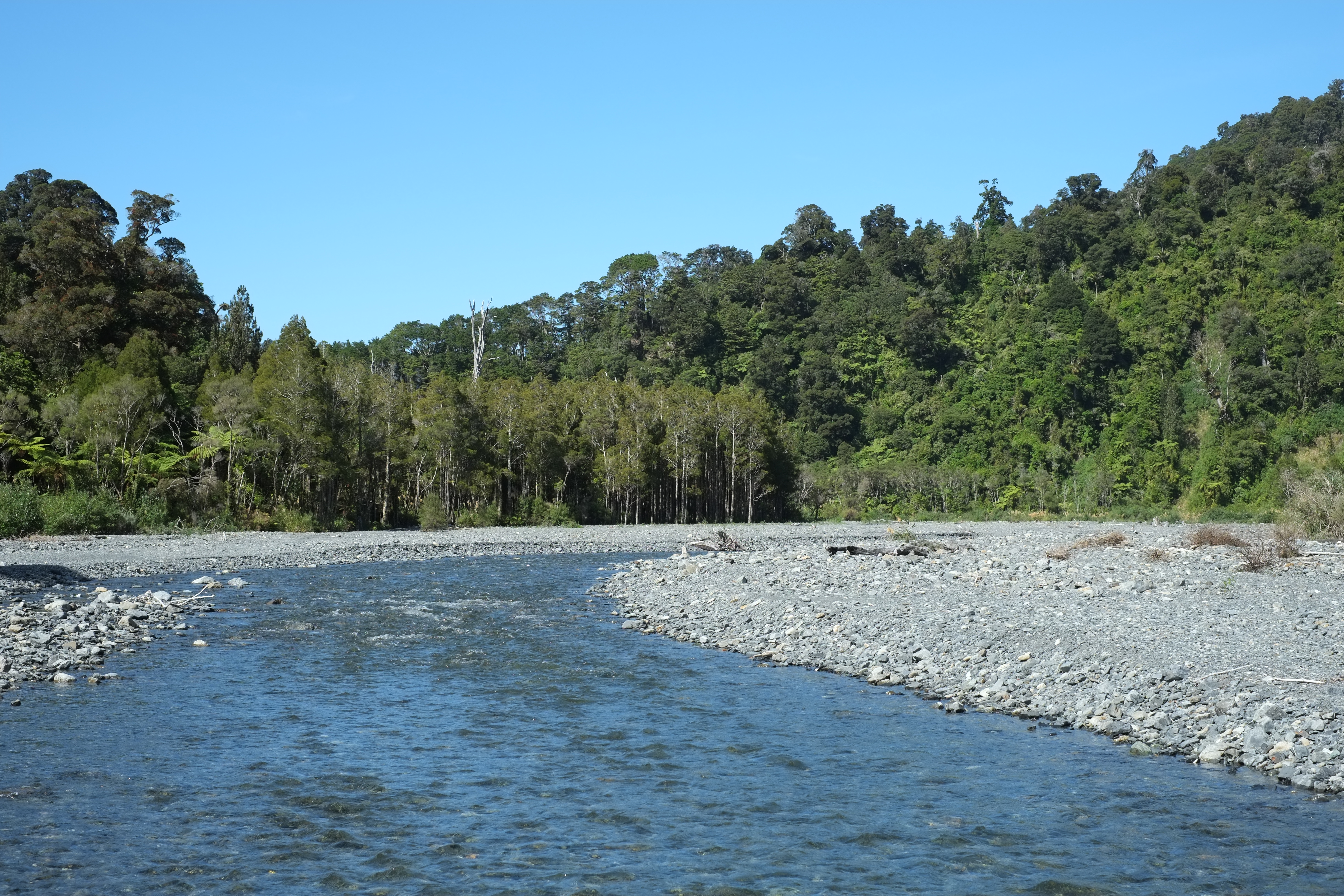 Rimutaka Forest Park