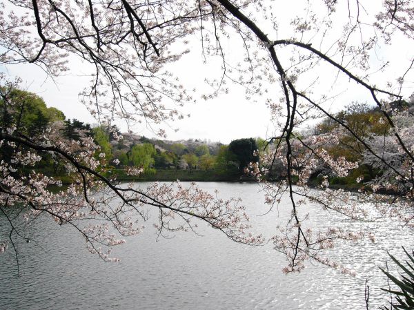 三池公園