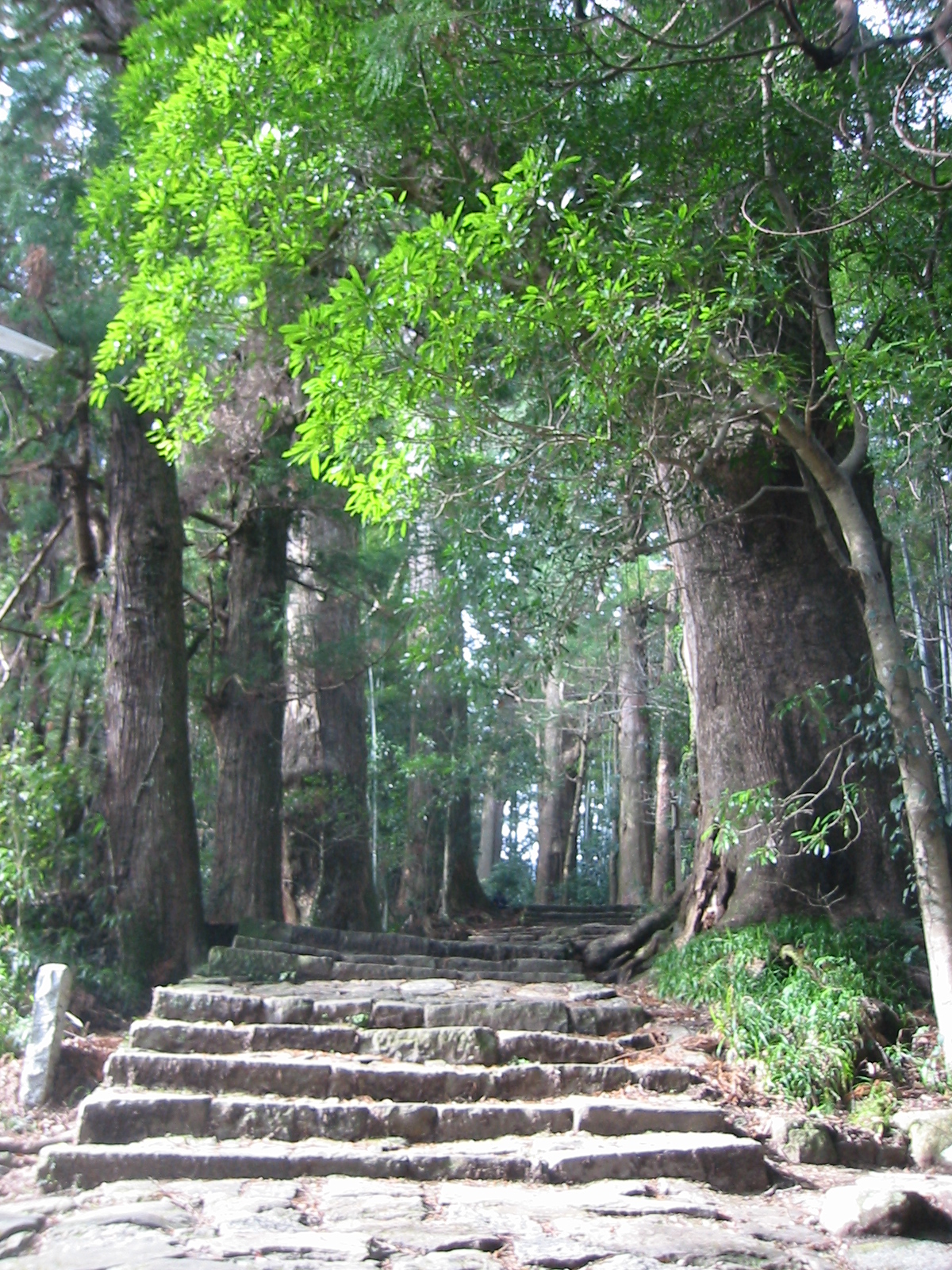 高野山