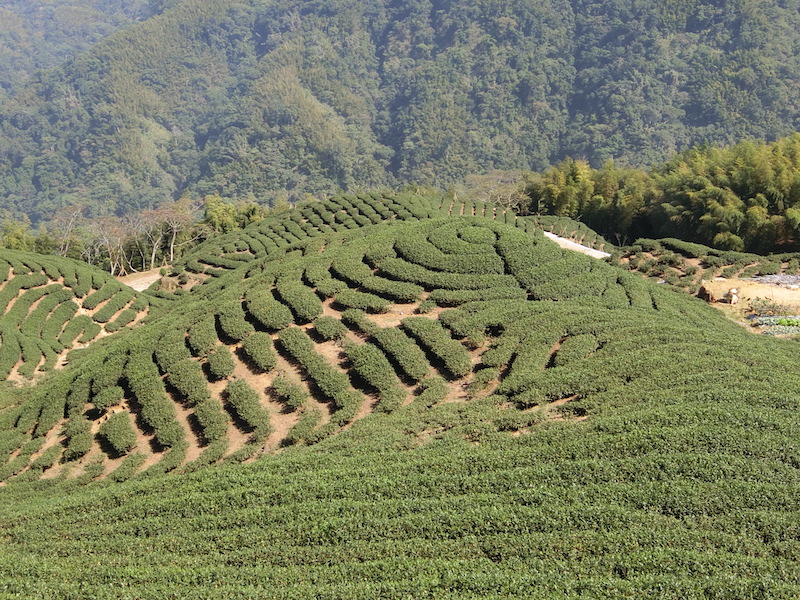 竹山鎮