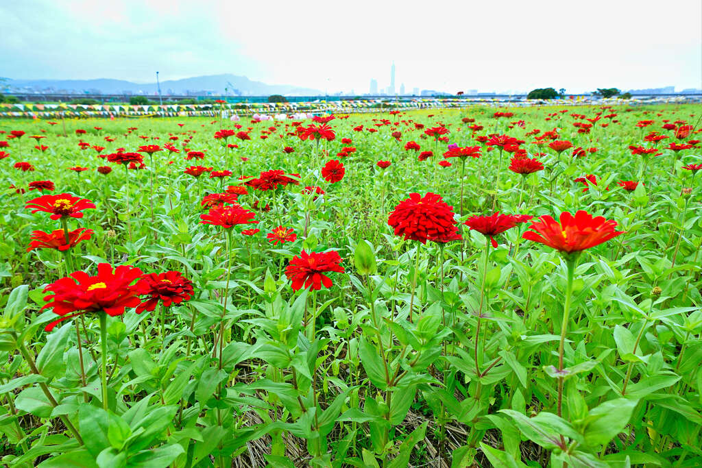 美堤河濱公園
