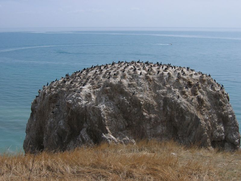 青海湖
