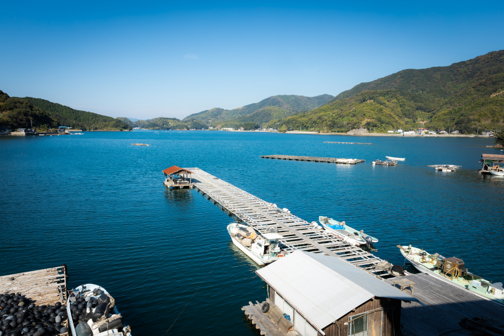 土居真珠
