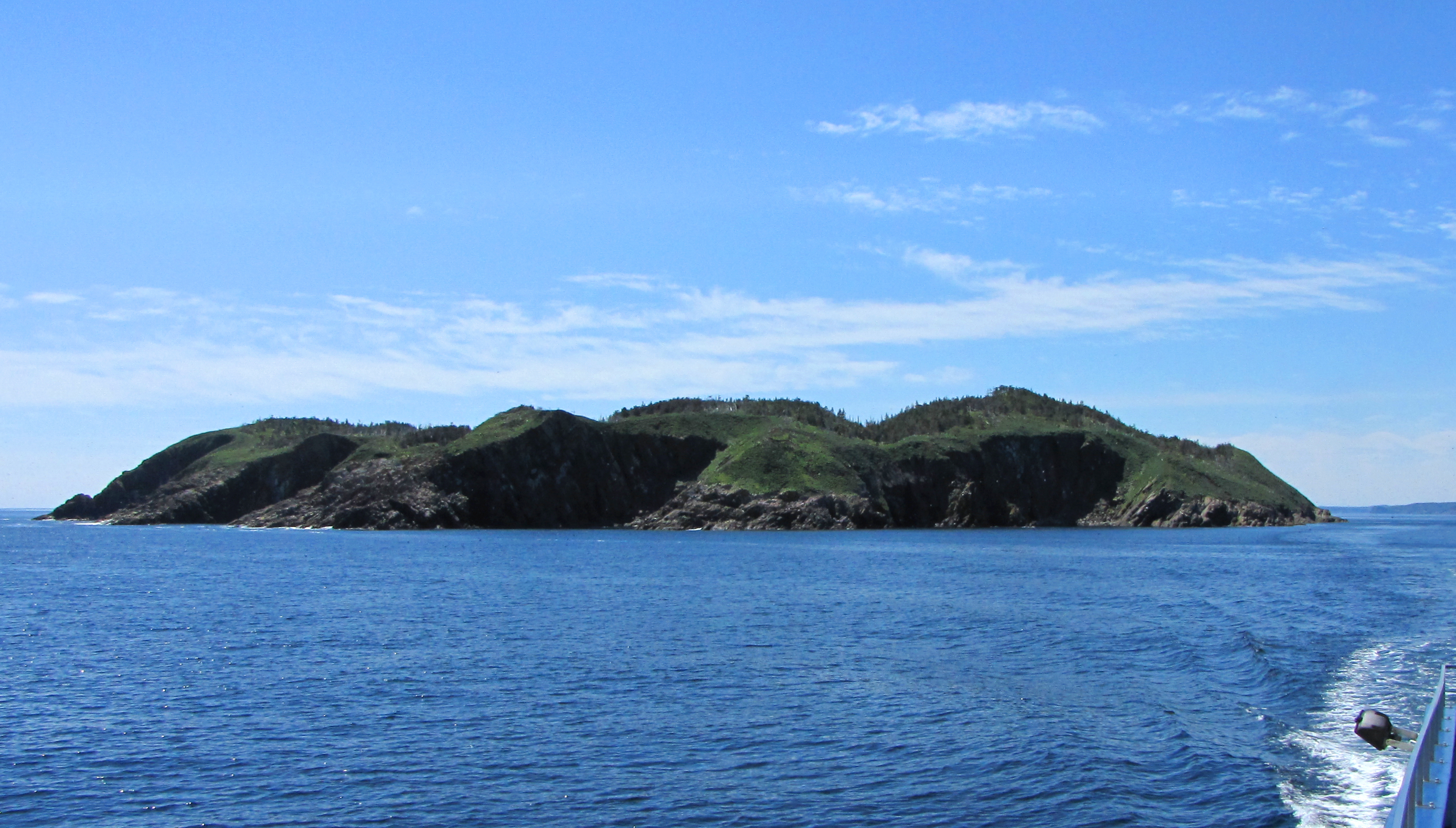 Witless Bay