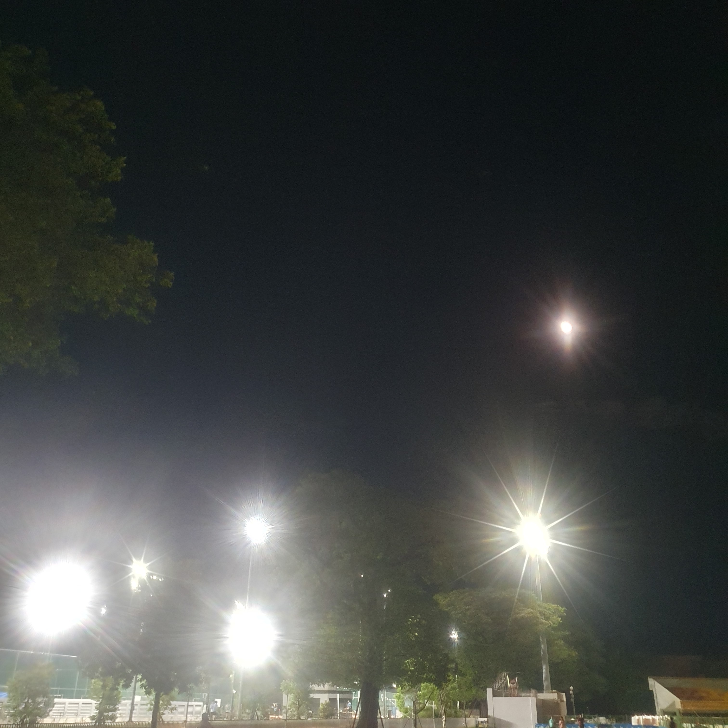 屏東縣立棒球場