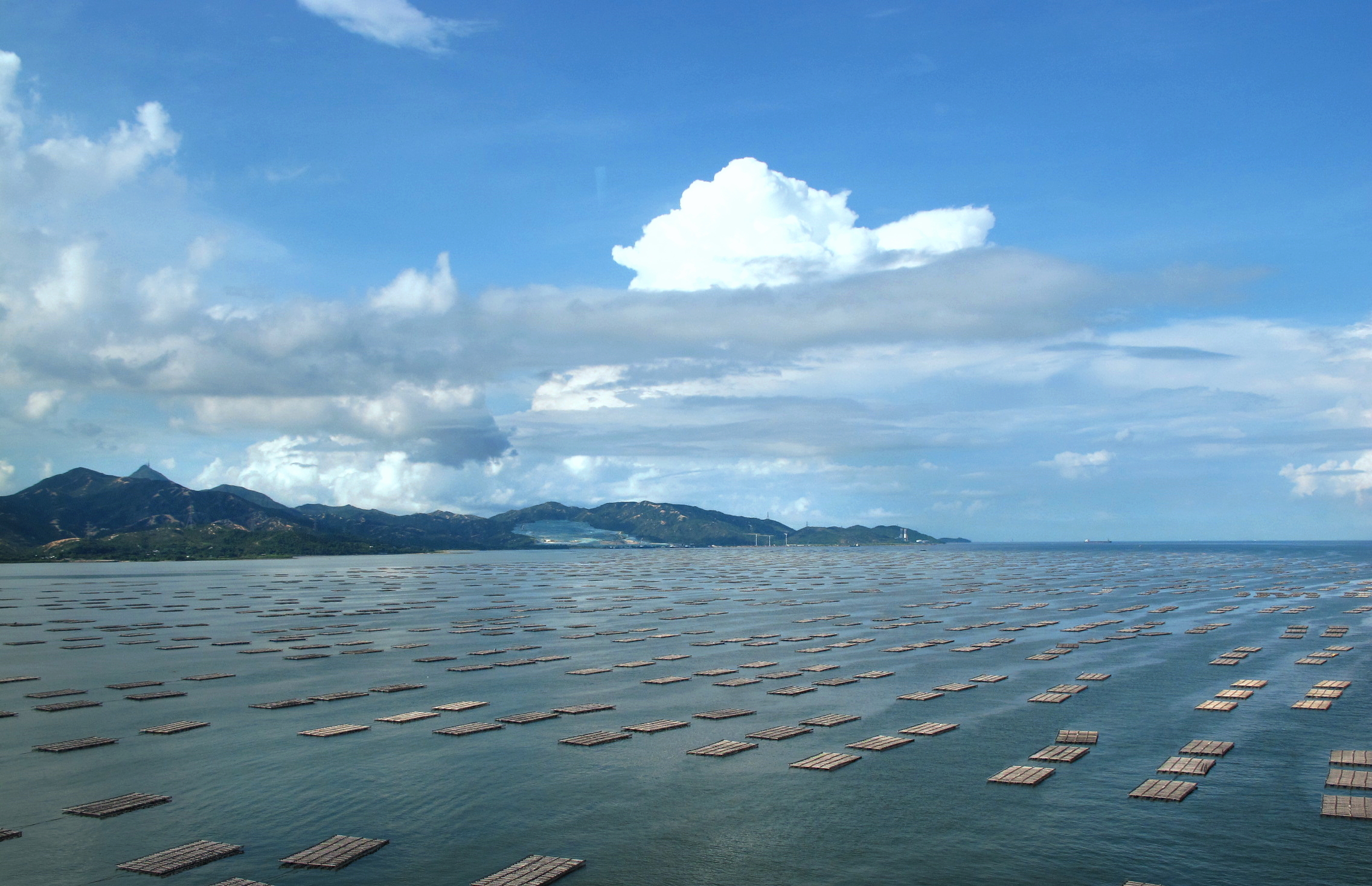 后海灣