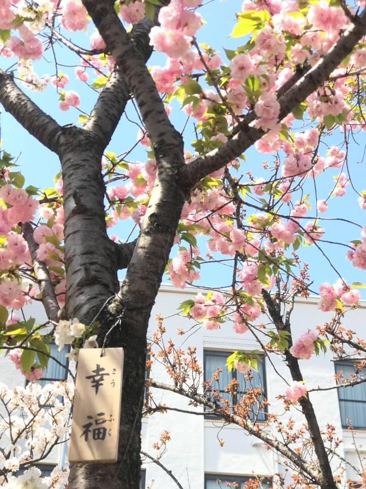 大阪造幣局