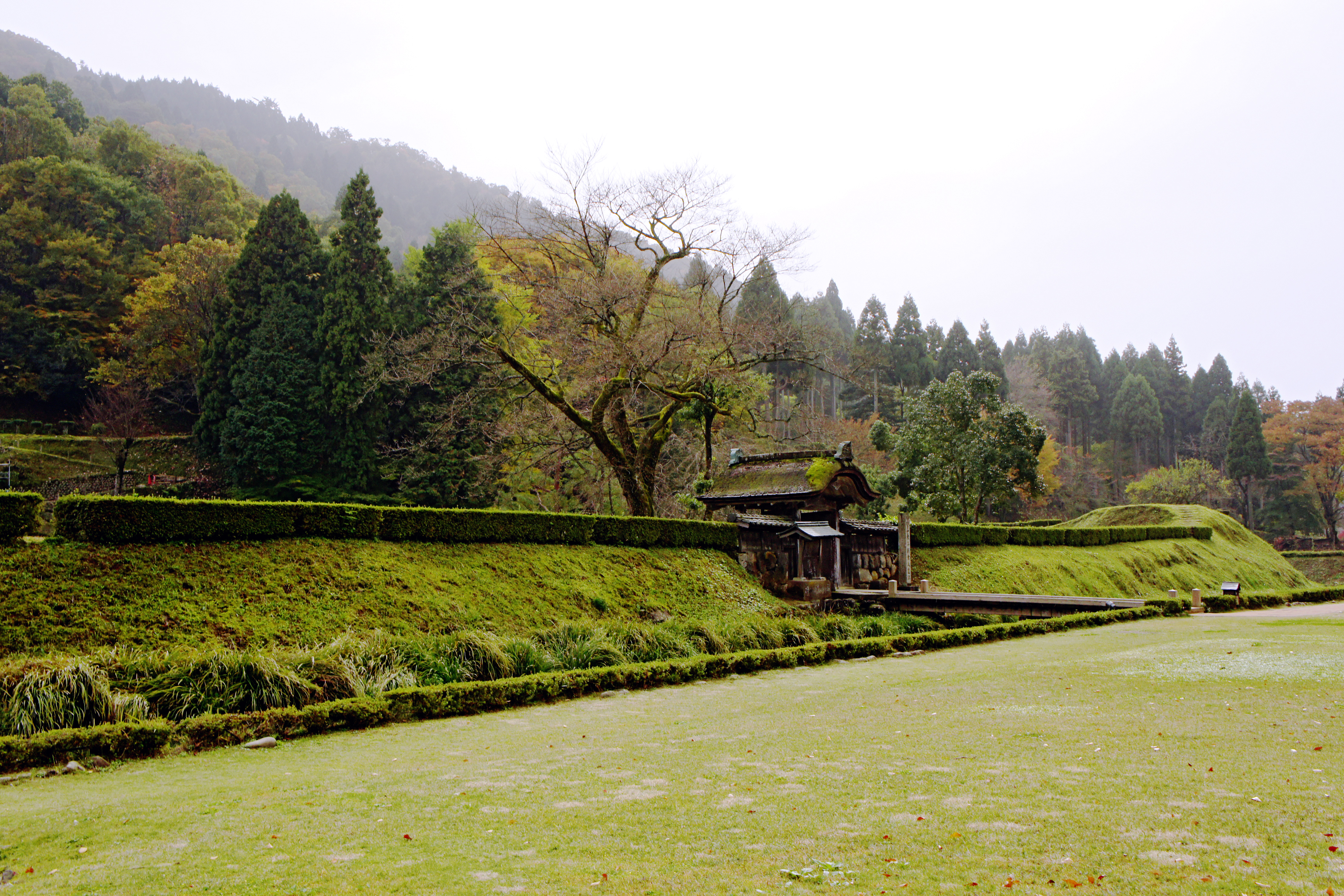 福井市
