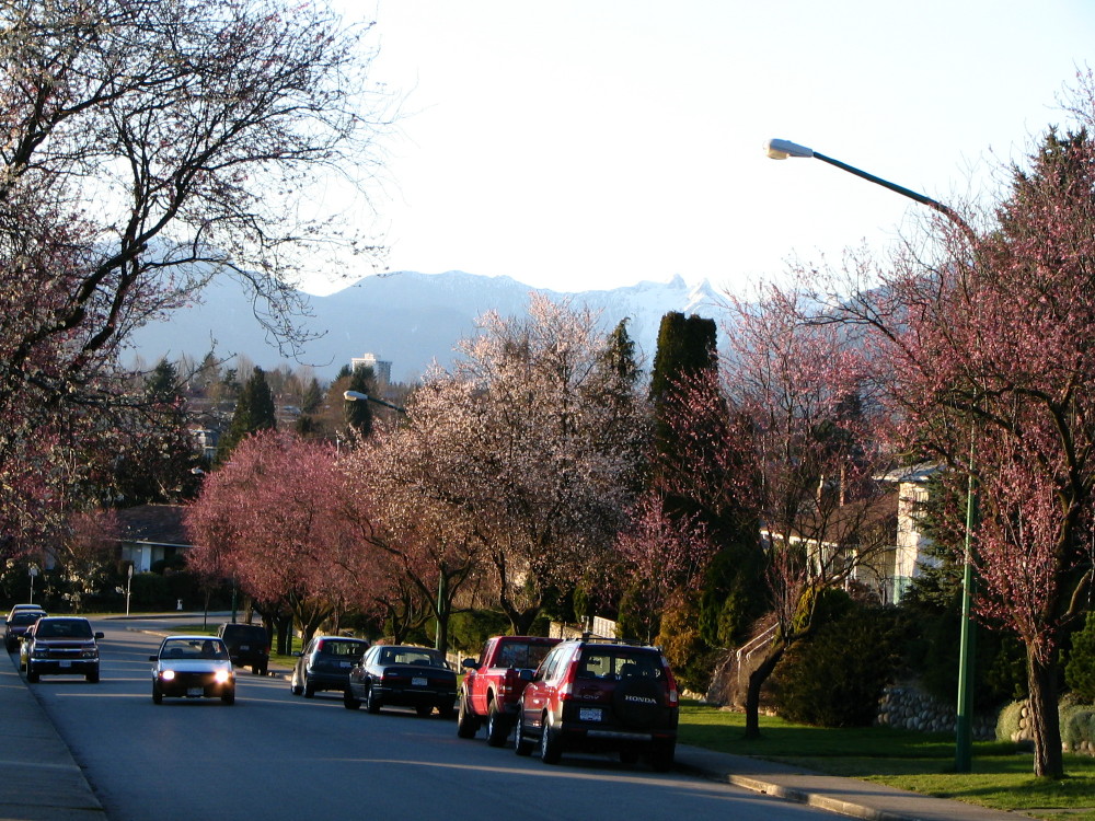 Brentwood Park