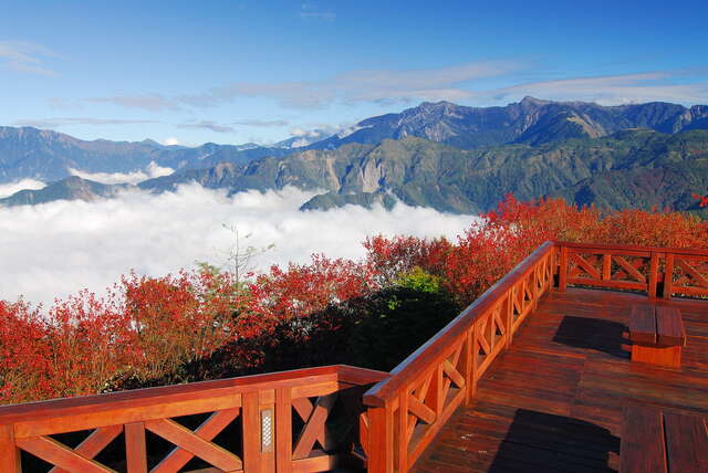 小笠原山觀景台