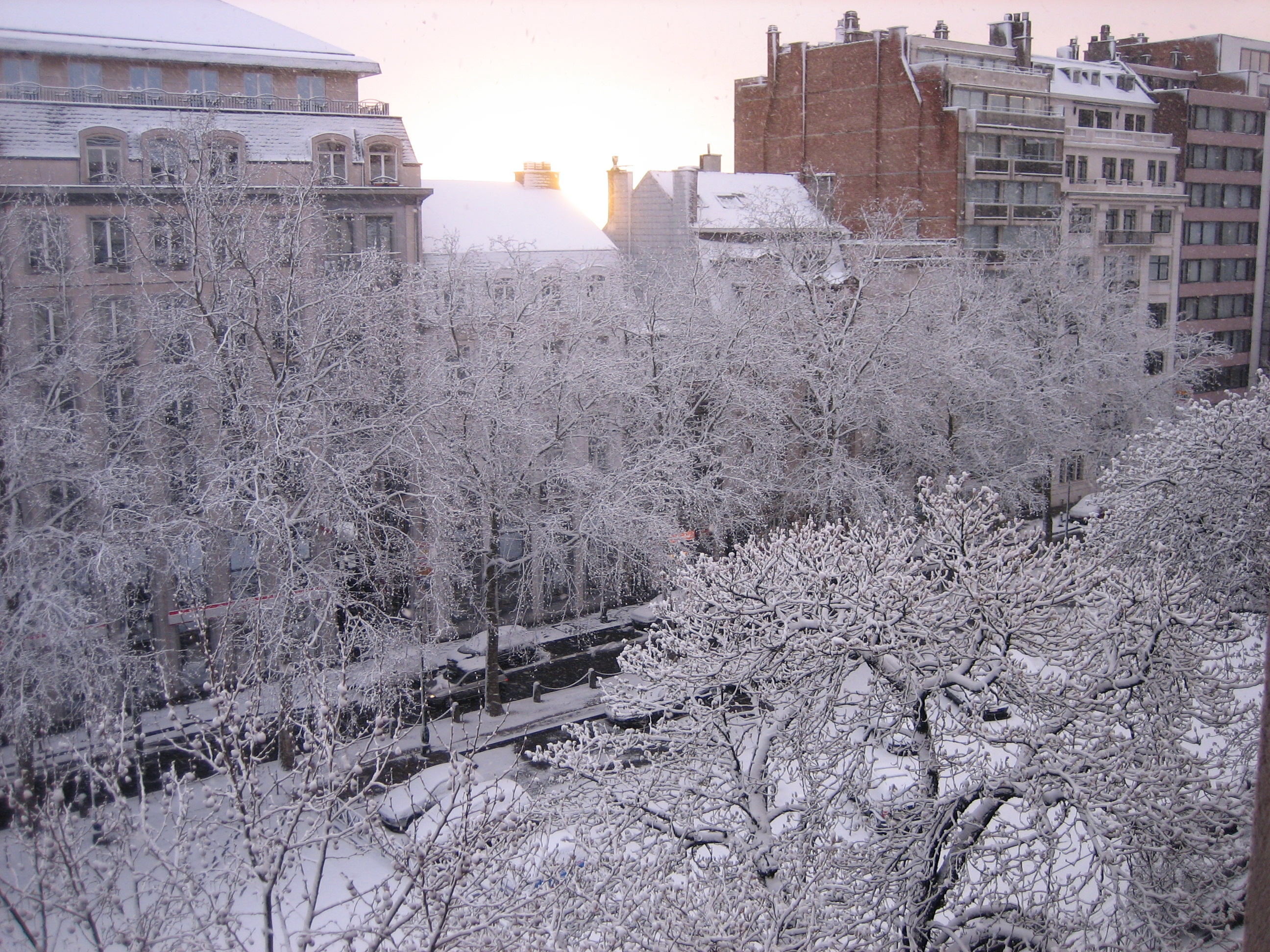 Quartier Louise