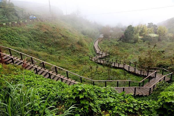 頂石棹步道群