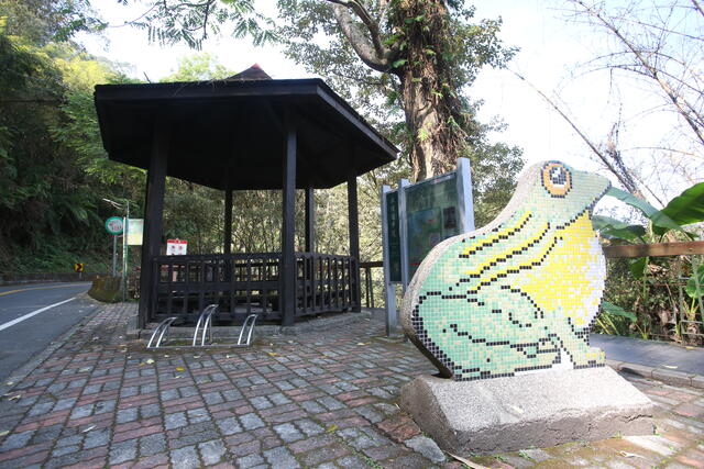 日月潭水蛙頭步道