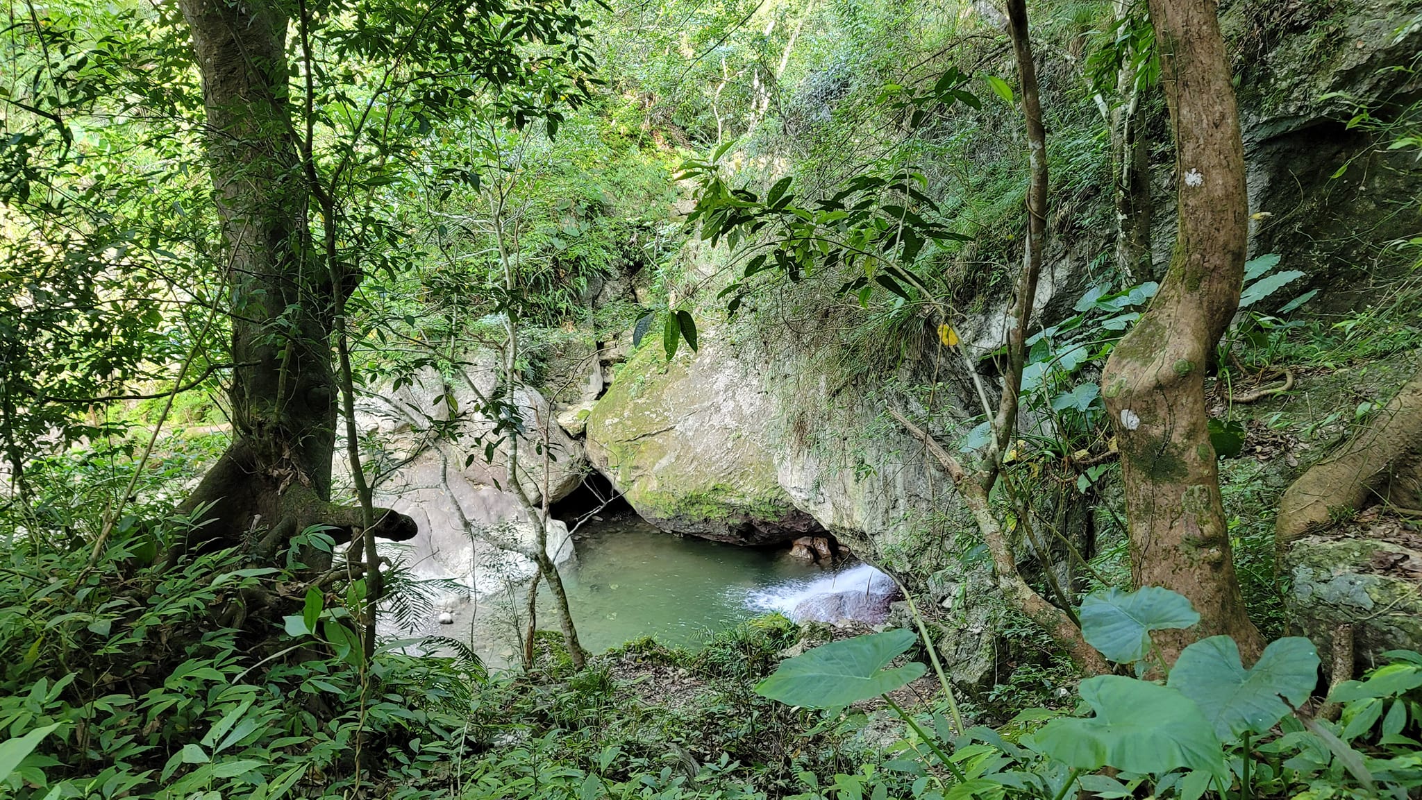 麒麟山無極天湖宮東方木公台