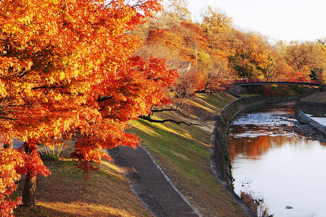 奈良縣立龍田公園