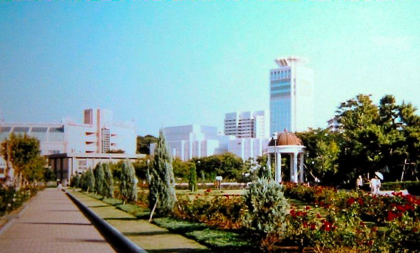 橫須賀市
