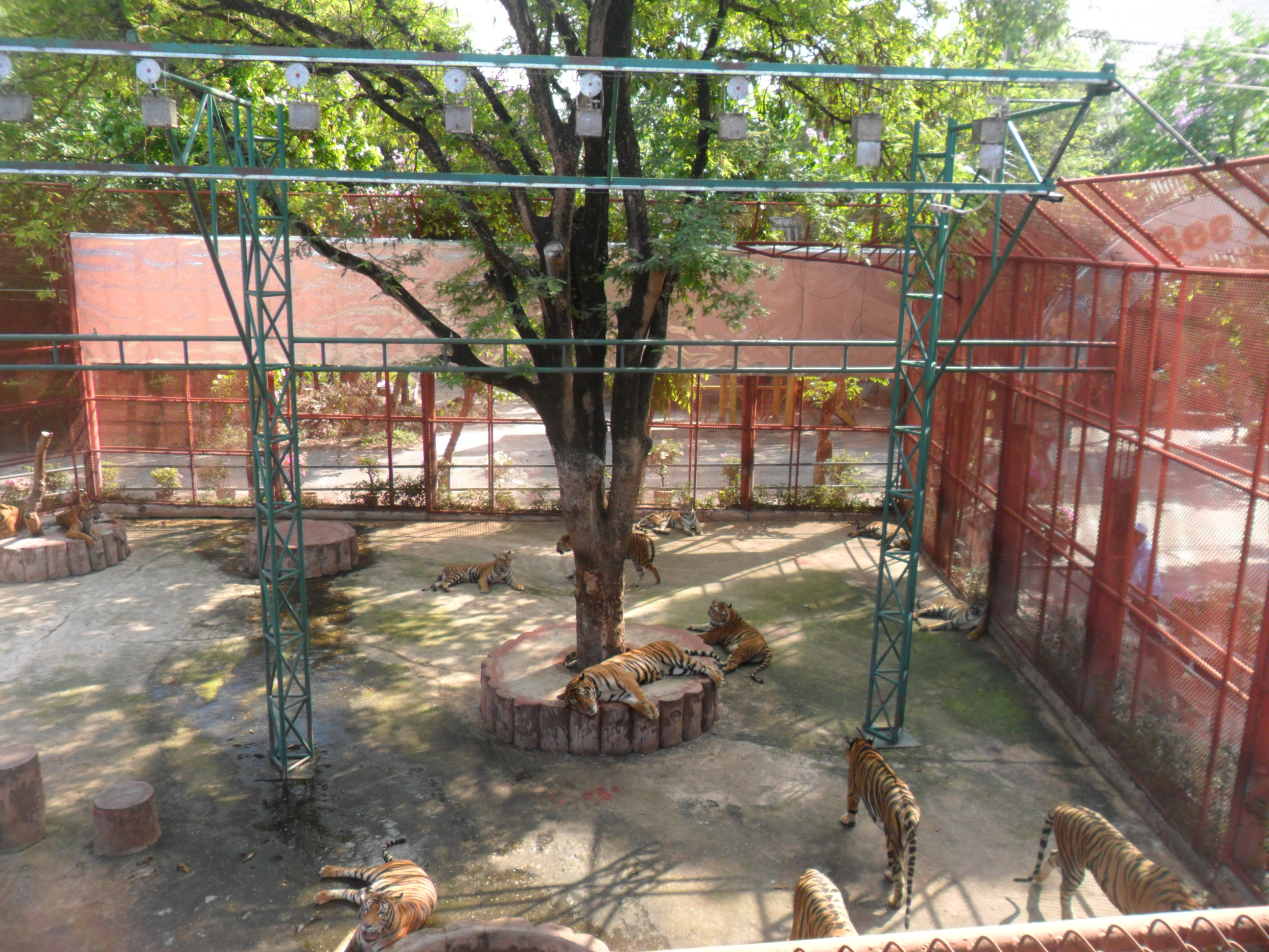 是拉差龍虎園